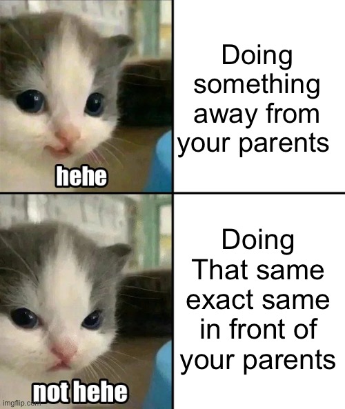 Too true | Doing something away from your parents; Doing That same exact same in front of your parents | image tagged in cute cat hehe and not hehe | made w/ Imgflip meme maker