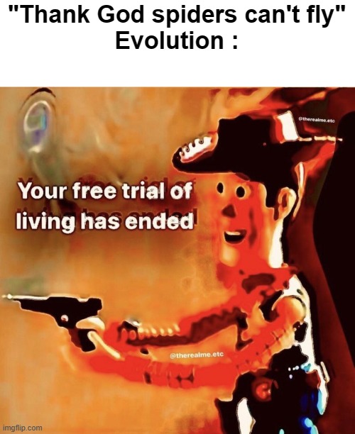 OOF | "Thank God spiders can't fly"
Evolution : | image tagged in your free trial of living has ended,funny memes,fun stream | made w/ Imgflip meme maker