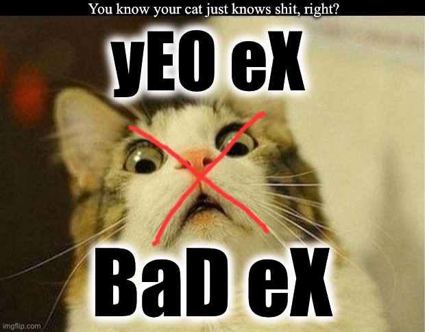 Scared Cat 50 24 | You know your cat just knows shit, right? yEO eX; BaD eX | image tagged in memes,scared cat | made w/ Imgflip meme maker