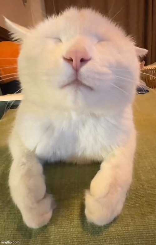 No apple ): | made w/ Imgflip meme maker