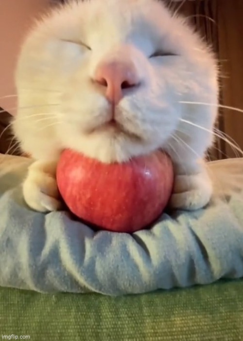 Apple :D | made w/ Imgflip meme maker