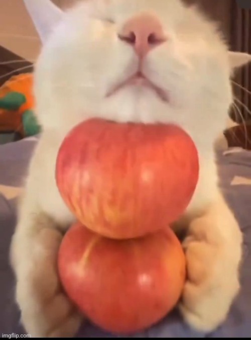 2 apples :DD | made w/ Imgflip meme maker