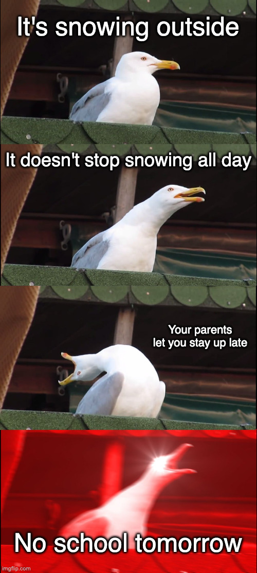 Let it snow, let it snow, let it snow | It's snowing outside; It doesn't stop snowing all day; Your parents let you stay up late; No school tomorrow | image tagged in memes,inhaling seagull,relatable,funny | made w/ Imgflip meme maker