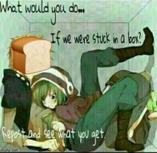 What would you do if we were stuck in a box? | image tagged in what would you do if we were stuck in a box | made w/ Imgflip meme maker