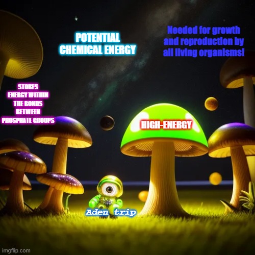 ATP molecule is to all life | Needed for growth and reproduction by all living organisms! POTENTIAL CHEMICAL ENERGY; STORES ENERGY WITHIN THE BONDS BETWEEN PHOSPHATE GROUPS; HIGH-ENERGY; Aden trip | image tagged in mushrooms | made w/ Imgflip meme maker