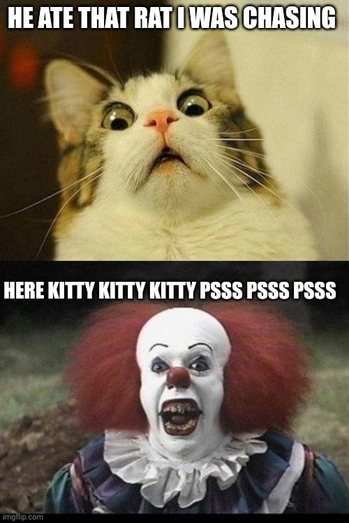 HE ATE THAT RAT I WAS CHASING; HERE KITTY KITTY KITTY PSSS PSSS PSSS | image tagged in memes,scared cat,scary clown | made w/ Imgflip meme maker