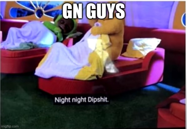 Goodnight | GN GUYS | image tagged in night night dipshit | made w/ Imgflip meme maker