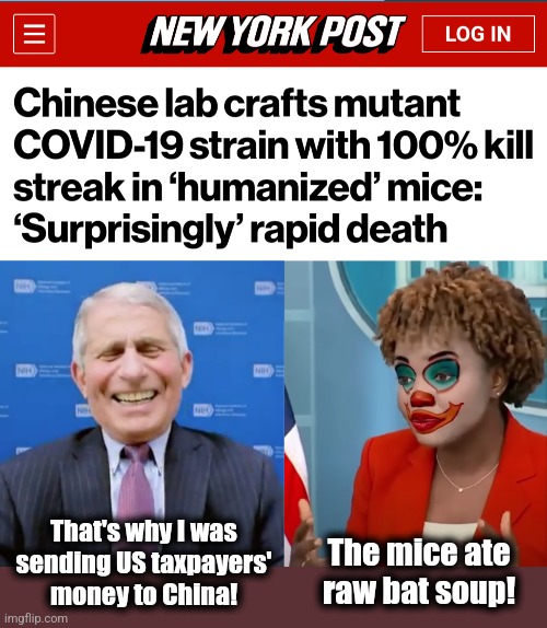 The mice hunched up, began moving sluggishly, their eyes turned white, then they died | That's why I was sending US taxpayers' money to China! The mice ate
raw bat soup! | image tagged in fauci laughs at the suckers,clown karine,memes,china,gain of function research,covid-19 | made w/ Imgflip meme maker