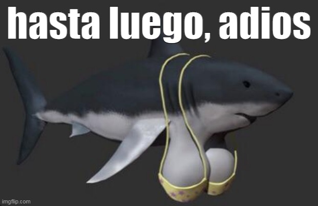 tit shark | hasta luego, adios | image tagged in tit shark | made w/ Imgflip meme maker