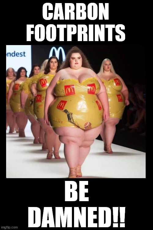 The climate agenda is secretly fat-shaming those who are body-positive! | CARBON
FOOTPRINTS; BE
DAMNED!! | image tagged in fat shame,climate change,yo mamas so fat | made w/ Imgflip meme maker