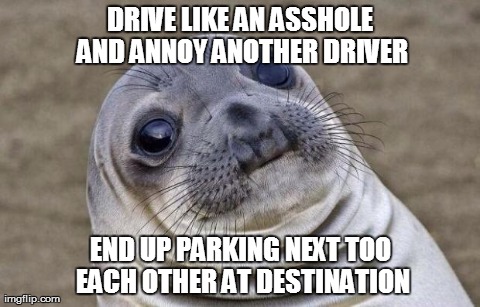 Awkward Moment Sealion | DRIVE LIKE AN ASSHOLE AND ANNOY ANOTHER DRIVER END UP PARKING NEXT TOO EACH OTHER AT DESTINATION | image tagged in awkward sealion,AdviceAnimals | made w/ Imgflip meme maker