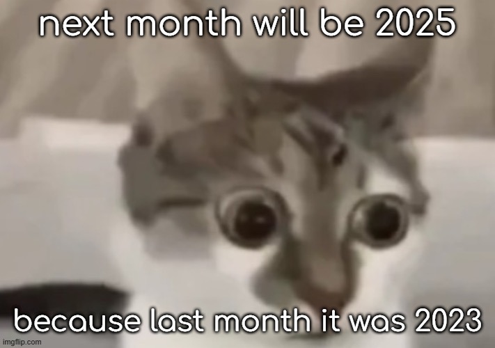 bombastic side eye cat | next month will be 2025; because last month it was 2023 | image tagged in bombastic side eye cat | made w/ Imgflip meme maker