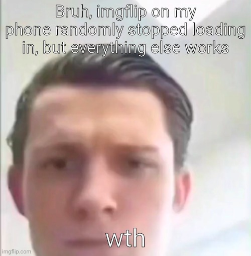 Tom Holland | Bruh, imgflip on my phone randomly stopped loading in, but everything else works; wth | image tagged in tom holland | made w/ Imgflip meme maker