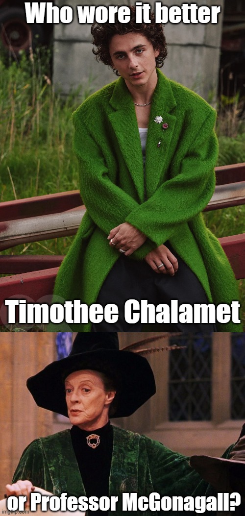 Who Wore It Better Wednesday #193 - Green robes | Who wore it better; Timothee Chalamet; or Professor McGonagall? | image tagged in memes,who wore it better,timothee chalamet,harry potter,celebrities,warner bros | made w/ Imgflip meme maker