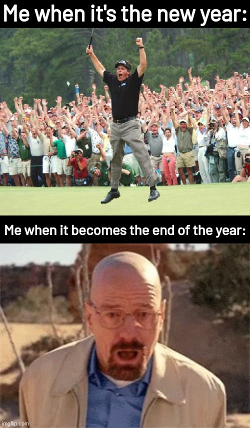 Me when it's the new year:; Me when it becomes the end of the year: | image tagged in golf celebration,walter white,2031-defense | made w/ Imgflip meme maker