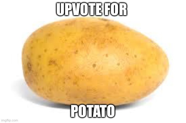 Potato | UPVOTE FOR; POTATO | image tagged in potato | made w/ Imgflip meme maker