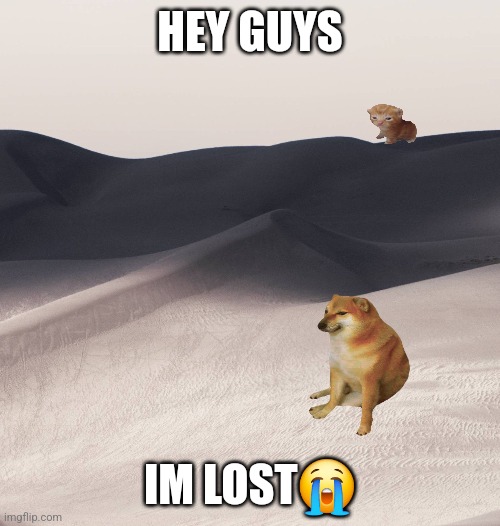 I'm lost? | HEY GUYS; IM LOST😭 | image tagged in lost | made w/ Imgflip meme maker