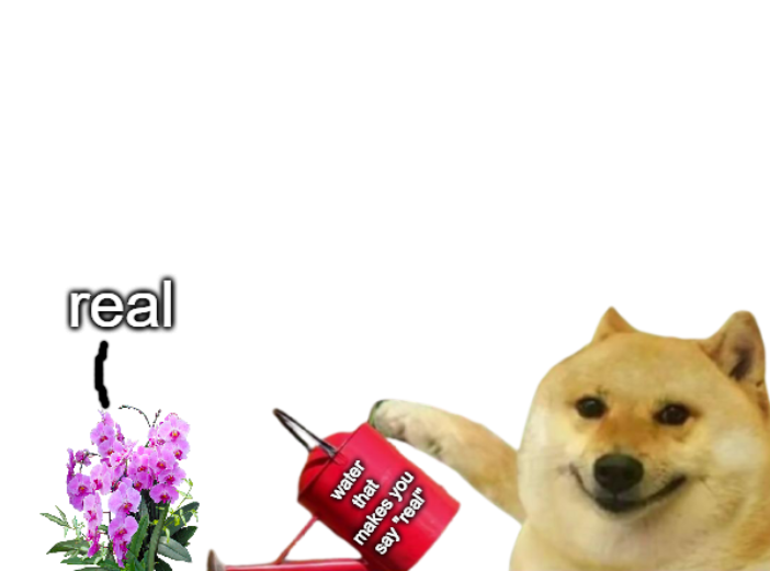 High Quality doge water that makes you say real Blank Meme Template
