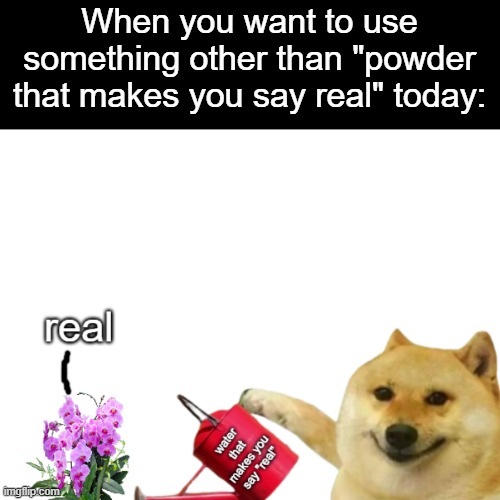 another custom doge template | When you want to use something other than "powder that makes you say real" today: | image tagged in doge water that makes you say real,doge,water,powder that makes you say,memes,funny | made w/ Imgflip meme maker