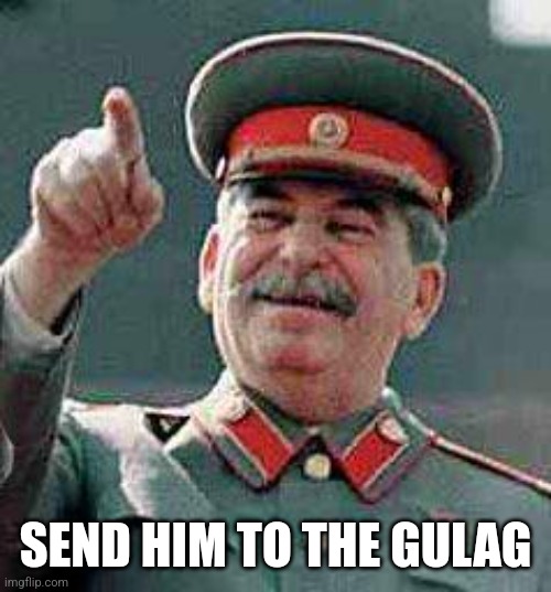 Stalin says | SEND HIM TO THE GULAG | image tagged in stalin says | made w/ Imgflip meme maker
