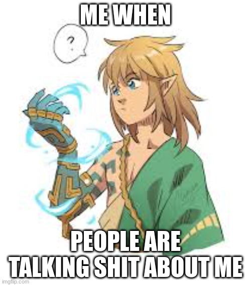 link confused | ME WHEN; PEOPLE ARE TALKING SHIT ABOUT ME | image tagged in link confused | made w/ Imgflip meme maker