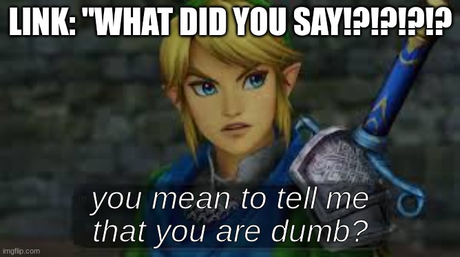 hyrule warriors Blank Meme Template