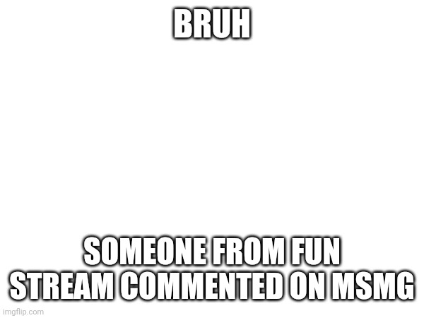 BRUH; SOMEONE FROM FUN STREAM COMMENTED ON MSMG | made w/ Imgflip meme maker