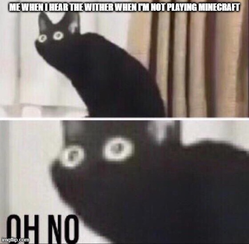 Oh no | ME WHEN I HEAR THE WITHER WHEN I'M NOT PLAYING MINECRAFT | image tagged in oh no cat,minecraft | made w/ Imgflip meme maker