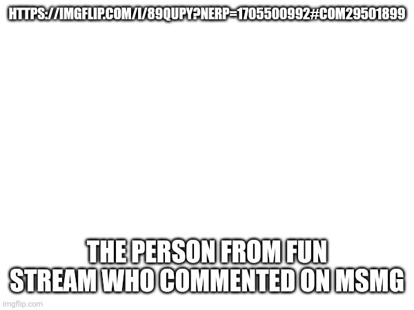 HTTPS://IMGFLIP.COM/I/89QUPY?NERP=1705500992#COM29501899; THE PERSON FROM FUN STREAM WHO COMMENTED ON MSMG | made w/ Imgflip meme maker
