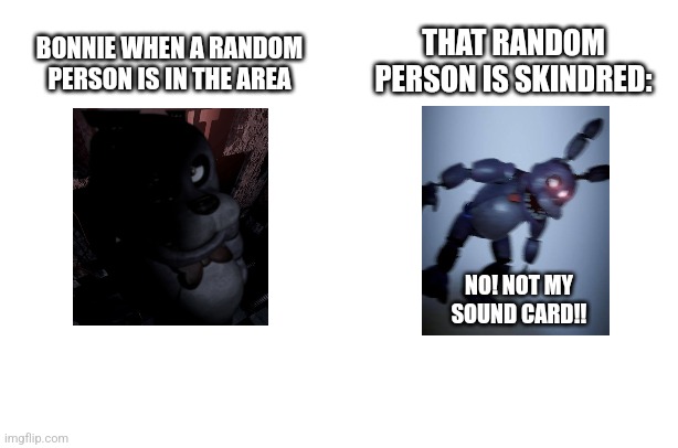 IDK | THAT RANDOM PERSON IS SKINDRED:; BONNIE WHEN A RANDOM PERSON IS IN THE AREA; NO! NOT MY SOUND CARD!! | image tagged in fnaf | made w/ Imgflip meme maker