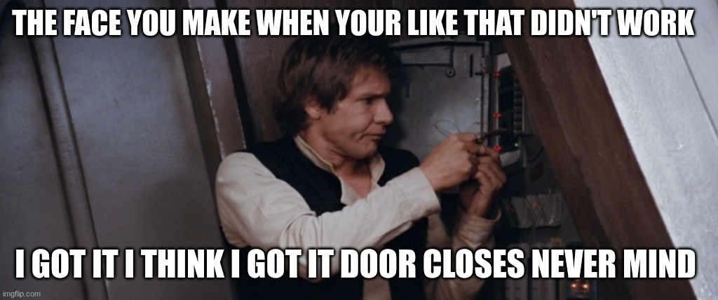 han solo | THE FACE YOU MAKE WHEN YOUR LIKE THAT DIDN'T WORK; I GOT IT I THINK I GOT IT DOOR CLOSES NEVER MIND | image tagged in han solo | made w/ Imgflip meme maker