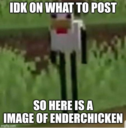 Cursed Minecraft chicken | IDK ON WHAT TO POST; SO HERE IS A IMAGE OF ENDERCHICKEN | image tagged in cursed minecraft chicken | made w/ Imgflip meme maker