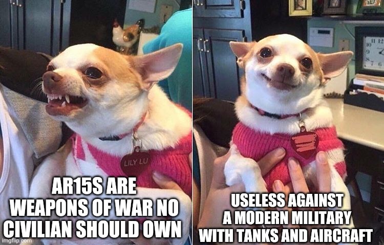 angry dog meme | AR15S ARE WEAPONS OF WAR NO CIVILIAN SHOULD OWN USELESS AGAINST A MODERN MILITARY WITH TANKS AND AIRCRAFT | image tagged in angry dog meme | made w/ Imgflip meme maker