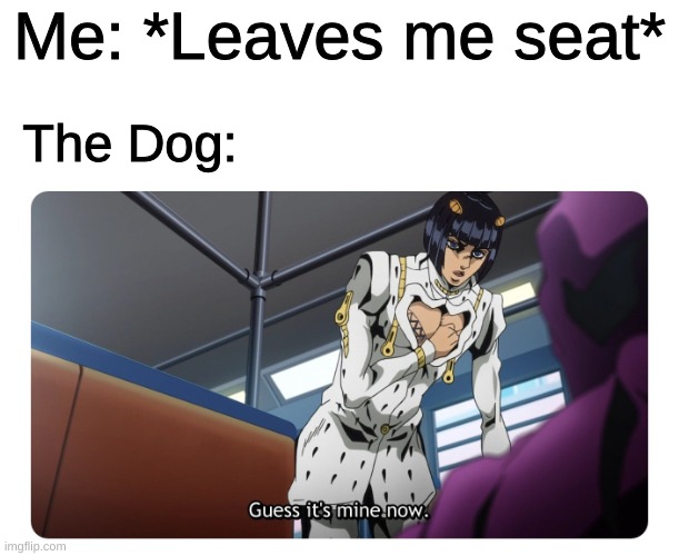 Always happens! | Me: *Leaves me seat*; The Dog: | image tagged in bruno bucciarati buccellati guess it's mine now,dogs,funny,chair | made w/ Imgflip meme maker