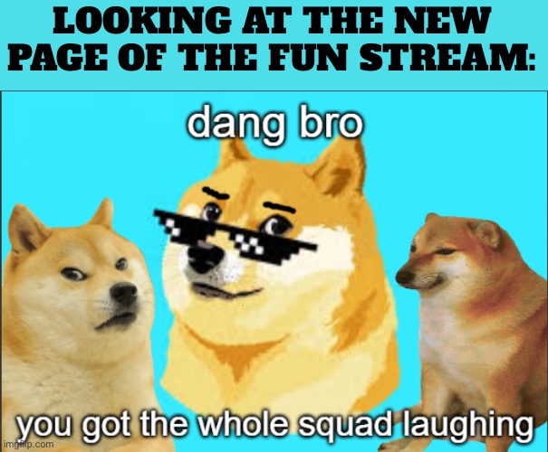 Ironic | LOOKING AT THE NEW PAGE OF THE FUN STREAM: | image tagged in dang bro you got the whole squad laughing doge | made w/ Imgflip meme maker