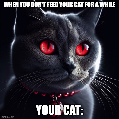 Uh oh better run | WHEN YOU DON'T FEED YOUR CAT FOR A WHILE; YOUR CAT: | image tagged in cat with a bell around it with red eyes | made w/ Imgflip meme maker