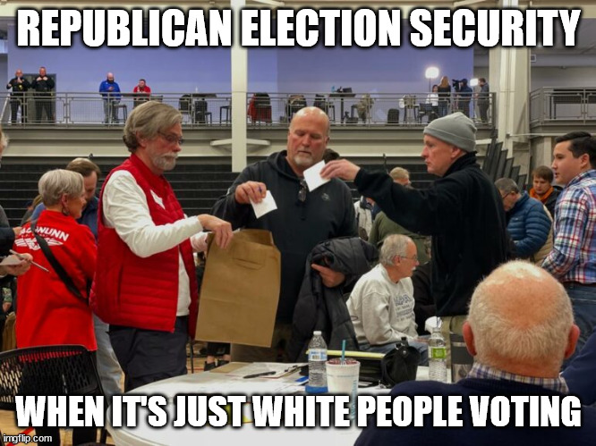 REPUBLICAN ELECTION SECURITY; WHEN IT'S JUST WHITE PEOPLE VOTING | made w/ Imgflip meme maker
