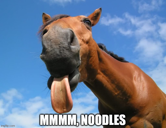 Horse Tongue | MMMM, NOODLES | image tagged in horse tongue | made w/ Imgflip meme maker