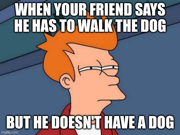 excuses excuses | WHEN YOUR FRIEND SAYS HE HAS TO WALK THE DOG; BUT HE DOESN'T HAVE A DOG | image tagged in memes,futurama fry | made w/ Imgflip meme maker