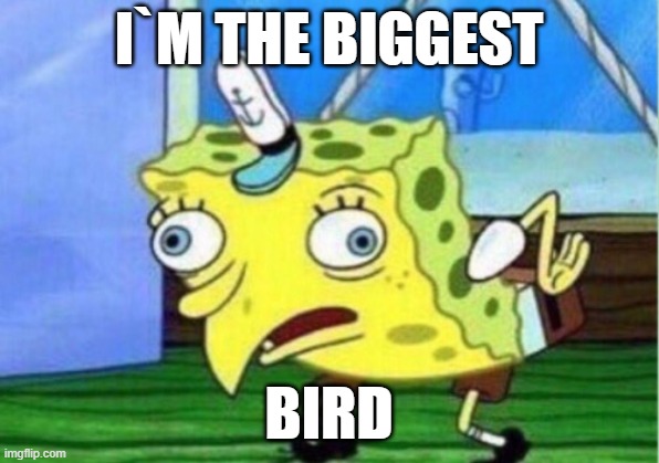 Mocking Spongebob | I`M THE BIGGEST; BIRD | image tagged in memes,mocking spongebob | made w/ Imgflip meme maker