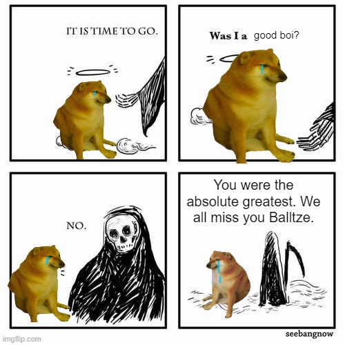 Bye bye (shut it ik im late) | good boi? You were the absolute greatest. We all miss you Balltze. | image tagged in it is time to go | made w/ Imgflip meme maker