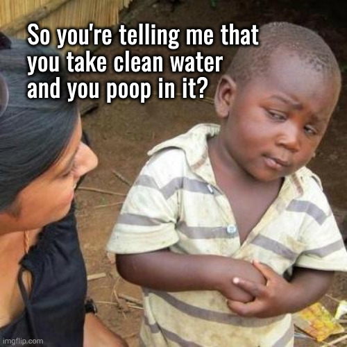 So you're telling me you use clean water for ... | So you're telling me that
you take clean water
and you poop in it? | image tagged in so you're telling me | made w/ Imgflip meme maker