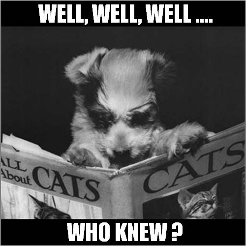 Most Fascinating Reading Material  ! | WELL, WELL, WELL .... WHO KNEW ? | image tagged in dogs,reading,cats | made w/ Imgflip meme maker