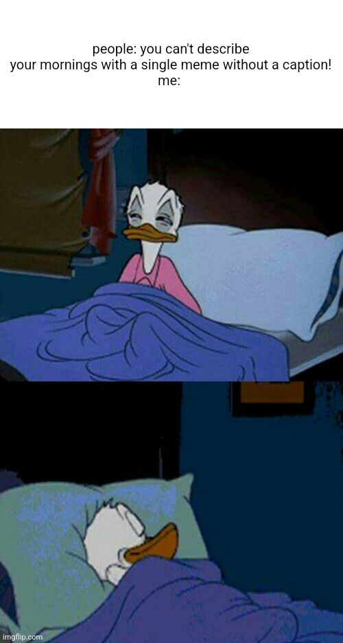 can't seem to stay awake anymore | people: you can't describe your mornings with a single meme without a caption!
me: | image tagged in sleepy donald duck in bed,sleep,morning | made w/ Imgflip meme maker
