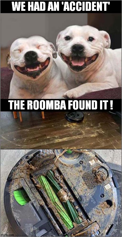 Shit All 'Round The Room ! | WE HAD AN 'ACCIDENT'; THE ROOMBA FOUND IT ! | image tagged in roomba,dogs,shit,smeared,everywhere,dark humour | made w/ Imgflip meme maker