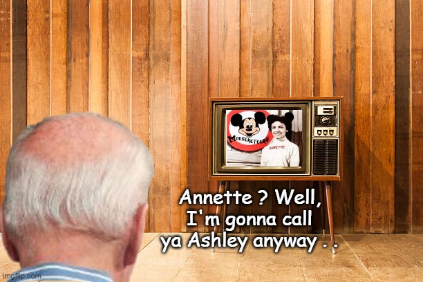 The Melon more recognizable as a Vacuum, than Bissell, or Dyson | Annette ? Well, I'm gonna call ya Ashley anyway . . | image tagged in biden ashley mousketeer meme | made w/ Imgflip meme maker