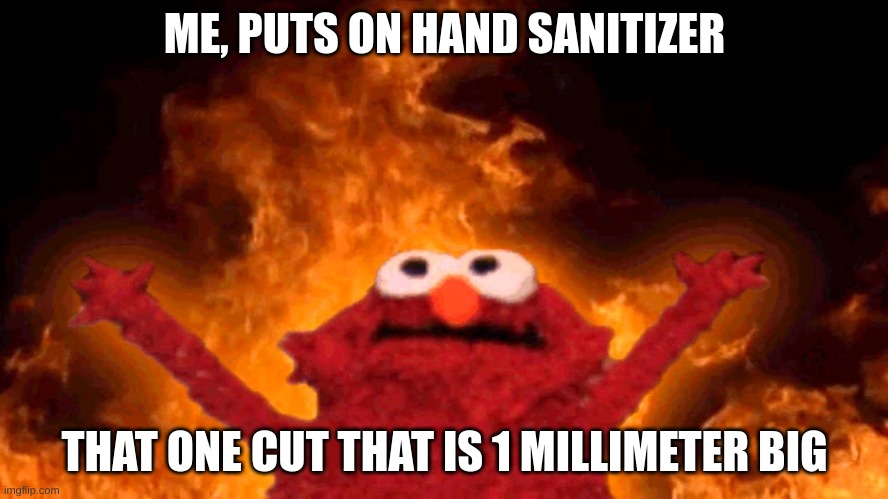 Why are you looking at this? | ME, PUTS ON HAND SANITIZER; THAT ONE CUT THAT IS 1 MILLIMETER BIG | image tagged in elmo fire | made w/ Imgflip meme maker