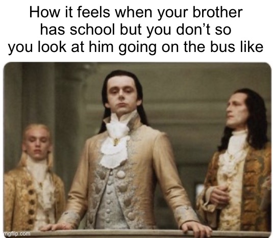 He’s so jealous | How it feels when your brother has school but you don’t so you look at him going on the bus like | image tagged in superior royalty,memes,relatable,funny | made w/ Imgflip meme maker