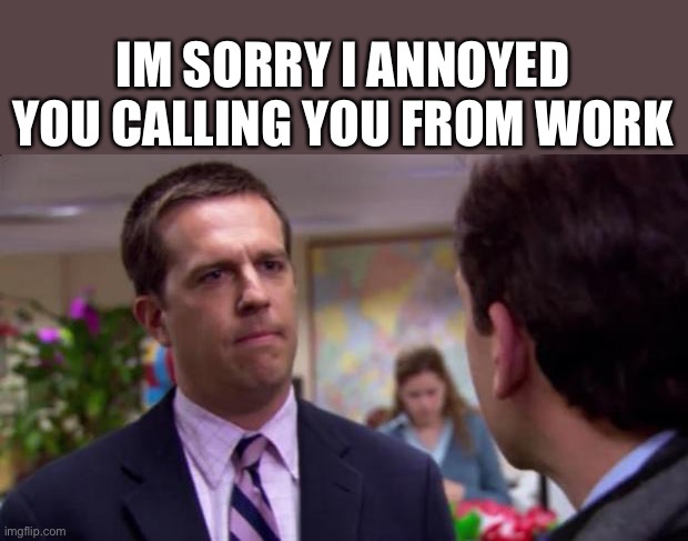 Tell your guest they can open the shutters again | IM SORRY I ANNOYED YOU CALLING YOU FROM WORK | image tagged in sorry i annoyed you | made w/ Imgflip meme maker