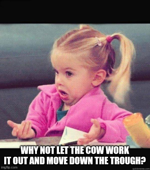 I dont know girl | WHY NOT LET THE COW WORK IT OUT AND MOVE DOWN THE TROUGH? | image tagged in i dont know girl | made w/ Imgflip meme maker